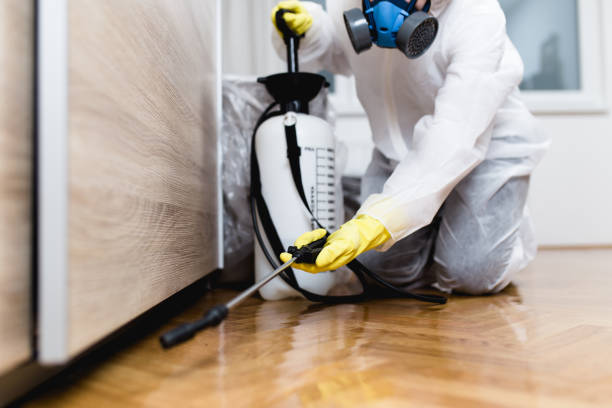 Best Pest Removal Services  in Highfill, AR
