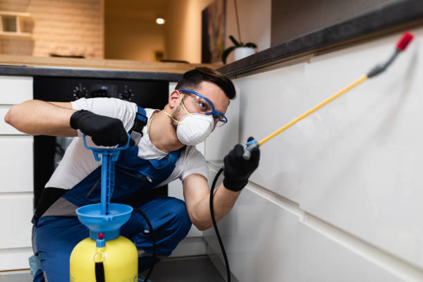 Best Pest Prevention Services  in Highfill, AR