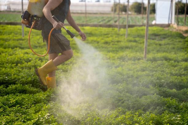 Best Pest Control Near Me  in Highfill, AR