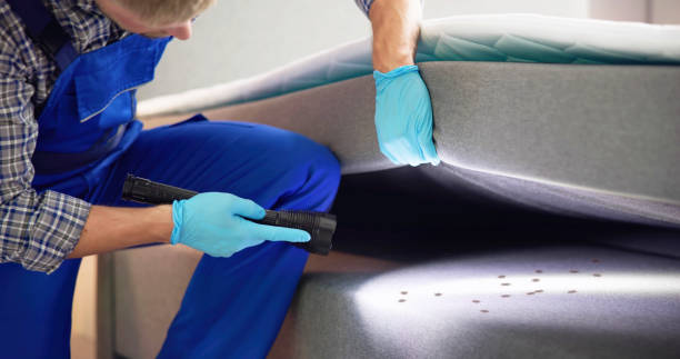 Best Exterminator Services  in Highfill, AR