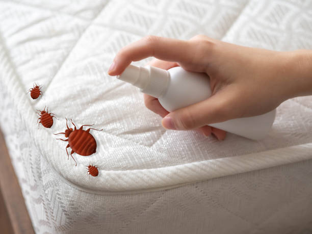 Best Pest Inspection Near Me  in Highfill, AR
